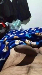 Isc180597 webcam model stream image