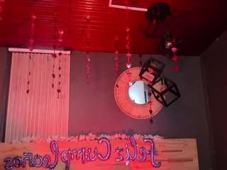 valneeko webcam model stream image