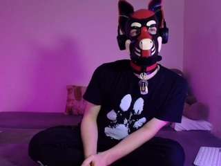 k9-goodboy webcam camsoda model stream image