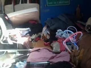 leticiafox77 webcam model stream image