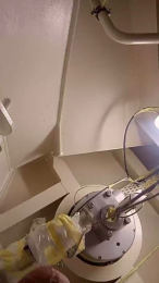 Toscanellovero webcam model stream image