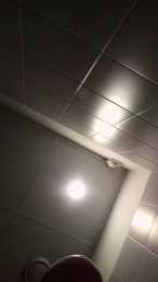 Toscanellovero webcam model stream image