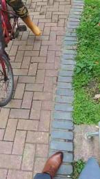 suitdogLsheers webcam model stream image