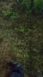 Asasass webcam model stream image