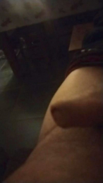 bibi250 webcam model stream image