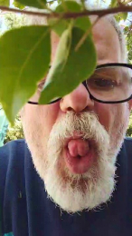 bibi250 webcam model stream image