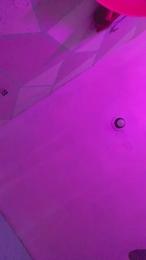 Cractzy webcam model stream image