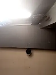 AmazonianMistress webcam model stream image