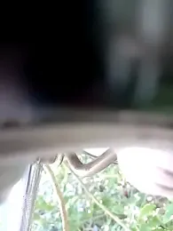 ElegantSensual webcam model stream image