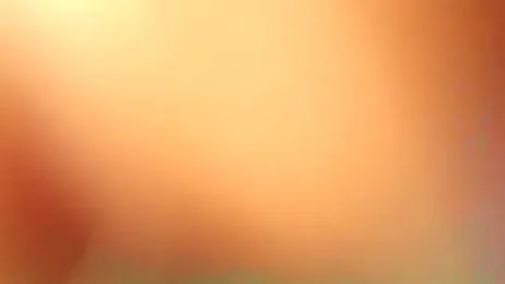 Miaelis webcam model stream image