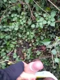 Kinshasa95 webcam stripchat model stream image