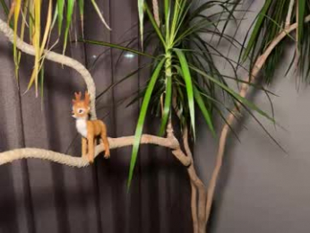 aronyou_win webcam model stream image