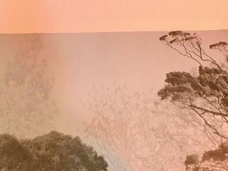 Angeel Thomas webcam model stream image