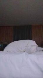 fisching webcam model stream image