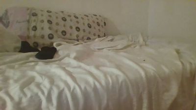 panickattack__ webcam model stream image