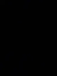 OMZ_ webcam model stream image