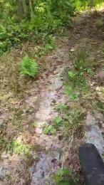 HANCOCK3333 webcam model stream image