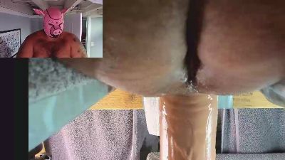 porkrollpiggy webcam model stream image
