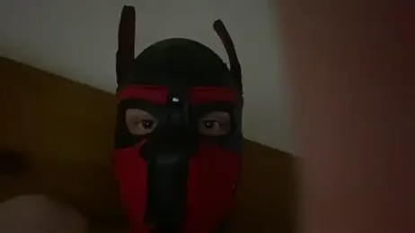 MolleDolle webcam model stream image