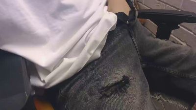 Nachovalen3 webcam model stream image