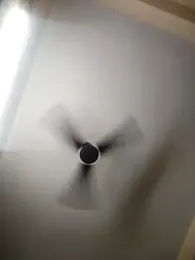 Sexyqueen444 webcam model stream image