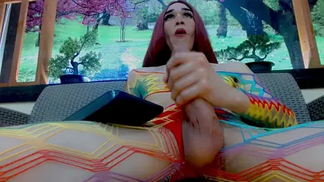 britanny_noroeste webcam model stream image