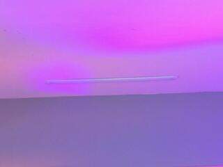 Kate Venegas webcam model stream image