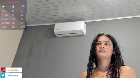 _frida1 webcam model stream image