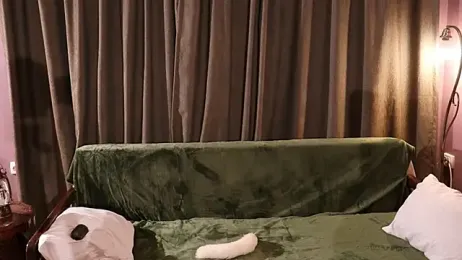 steffania- webcam model stream image