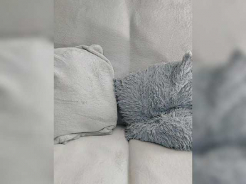 Tina_ webcam model stream image