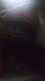 Simpatikdmonia webcam model stream image