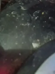 cockycummer webcam model stream image