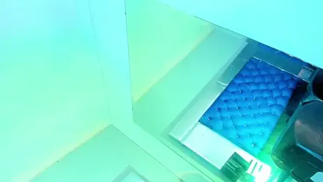 Sammybitchx webcam model stream image