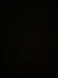 avans_15 webcam model stream image