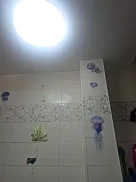 Alisasex@xh webcam stripchat model stream image