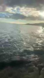 Alnend webcam model stream image