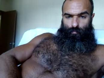 woof_wolf37 webcam model stream image