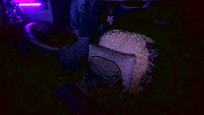 blindsurfer webcam model stream image