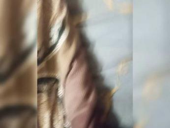 parapapa13 webcam bongacams model stream image