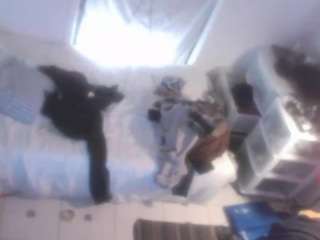 slamminsammy506 webcam model stream image