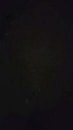 negreee webcam model stream image