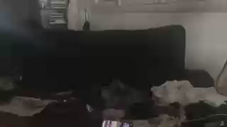 BIGK20 webcam model stream image