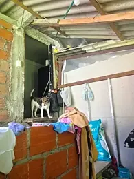 Hannah-grace webcam model stream image