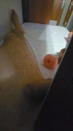CallMeMasck webcam model stream image