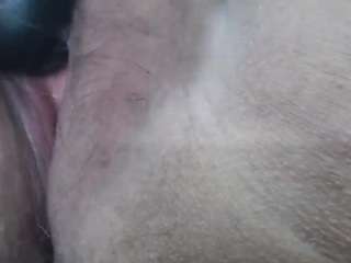 selenhax webcam model stream image