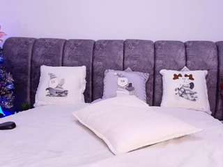 bss-naia webcam model stream image