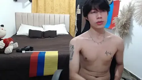 Elio-cam webcam model stream image
