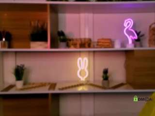 isla-dior webcam model stream image