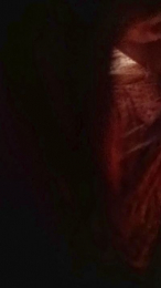 Fadinhaacam webcam model stream image