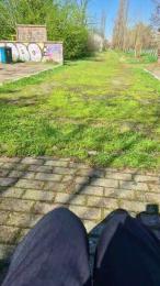 Pagani56 webcam cam4 model stream image